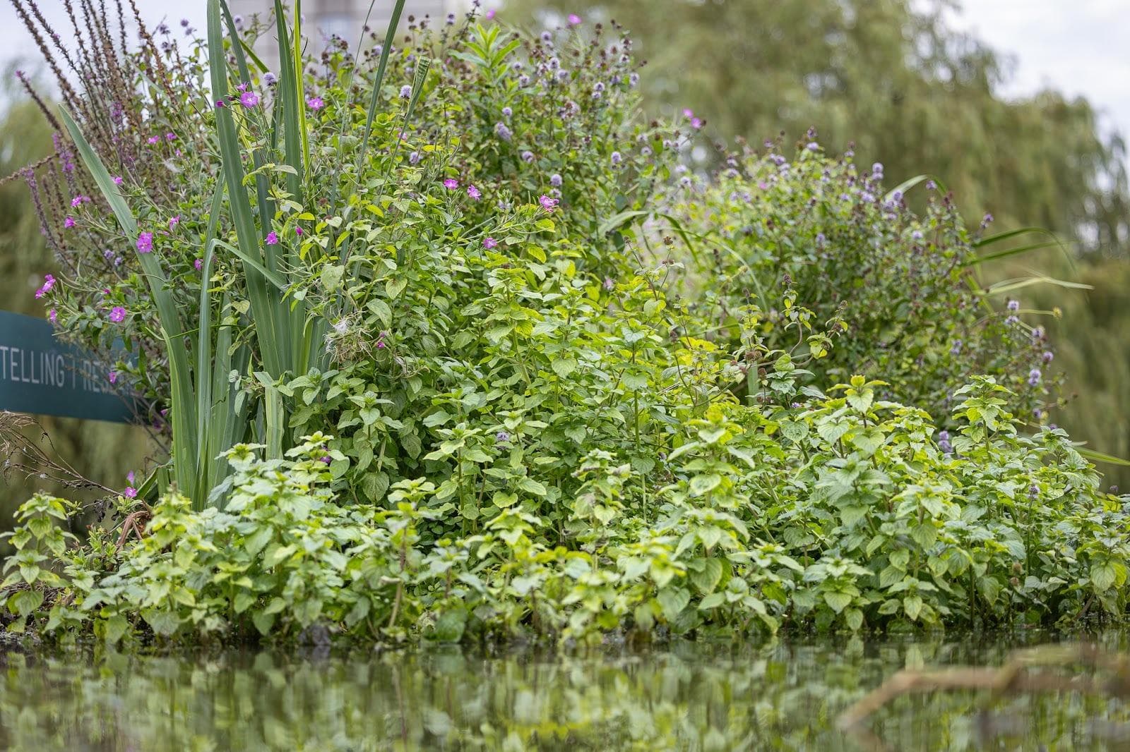Innovatie in Delft met Bio-Floats en duurzame onderwaterconstructies